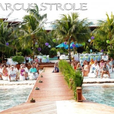 Beach Wedding and Guests